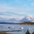 Sharon Nyman-Stofflet's profile image