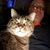 David Baron's profile image