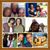 Roslyn Fedd's profile image