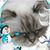 Maurie Alward's profile image