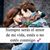 Blanca Arias's profile image