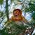 Kim Barton's profile image
