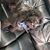 Efrain Campusano's profile image