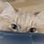 Sue Copley's profile image