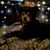 Irm Compean Lopez Bustos's profile image