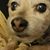 Paula Jean's profile image