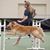 Cayley Bridges's profile image