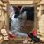 Judi Walker's profile image