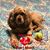 Maureen Bishop's profile image