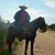 Francisco Castro's profile image
