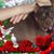 Vicki Sutton Burnham's profile image