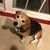 Kathie ZsaZsa Shank's profile image