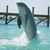 Shelah Smith's profile image