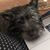 Judy Brien Johnson's profile image