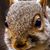 Robert Dyet's profile image