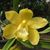 Marianne McCarty's profile image