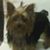 Diane Pasquazzi's profile image