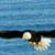 Sandy Hernandez's profile image