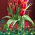 Kim Bruce Garcia's profile image