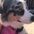 Shonna Heuer Schroeder's profile image