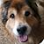 Doug Read's profile image