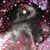 Andrea Van Dusen's profile image