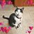 Catherine Mathis's profile image