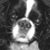 Kimberly Willhite's profile image