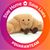 Prue Callaham's profile image
