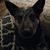Kimberly Machiels-Purser's profile image