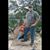 Brian Gore's profile image