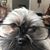 Christi Gensler's profile image