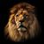 Cameron Blue Marquardt's profile image