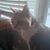Natalie Call's profile image