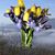 Heather Sharp-Keys's profile image