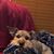 Geri Chaney's profile image