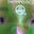 Carol H's profile image
