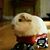 Lorraine Lynch's profile image