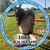 Lori Hinson Netherton's profile image