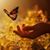 Connie Gorrell's profile image