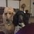 Brenda Oliver Laird's profile image