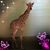 Crystal Bratten's profile image
