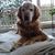 Hi Bulga's profile image