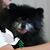 Luckee Johnston's profile image