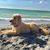 Joyce Griffin's profile image