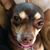 Kerry Soliz's profile image