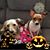 Elizabeth Ann Sanchez's profile image