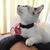 Lan Anh Quang Minh's profile image