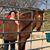 Katie Baumgartner's profile image