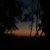 Sonam Thakur's profile image